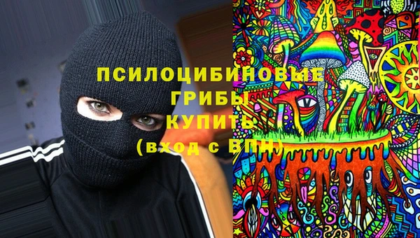 меф Алексин