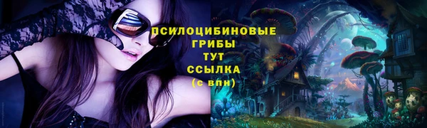 меф Алексин