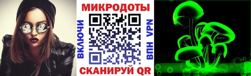 Купить закладки  Темников  Псилоцибиновые грибы Psilocybine cubensis 