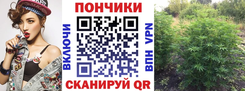 МАРИХУАНА Amnesia  Купить где  Темников 